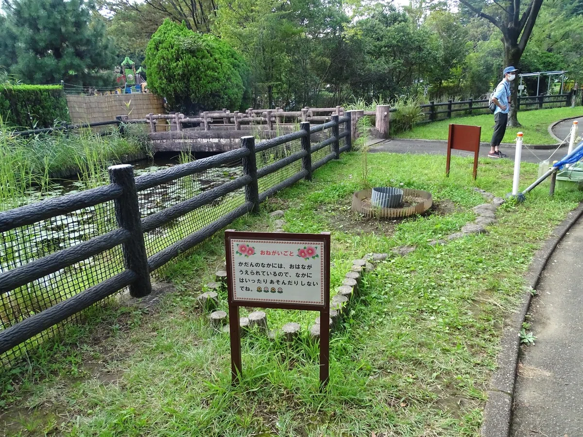 画像16