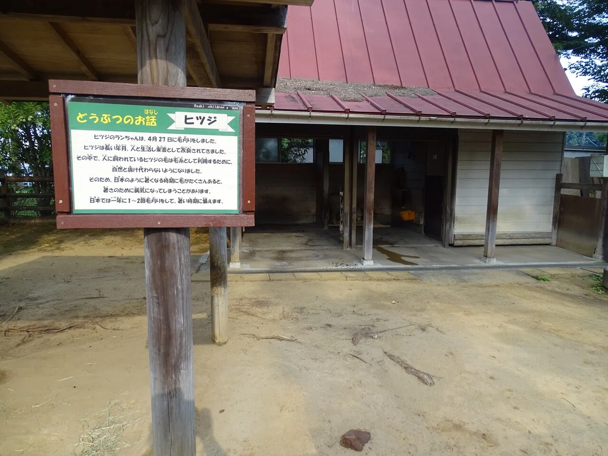 画像30