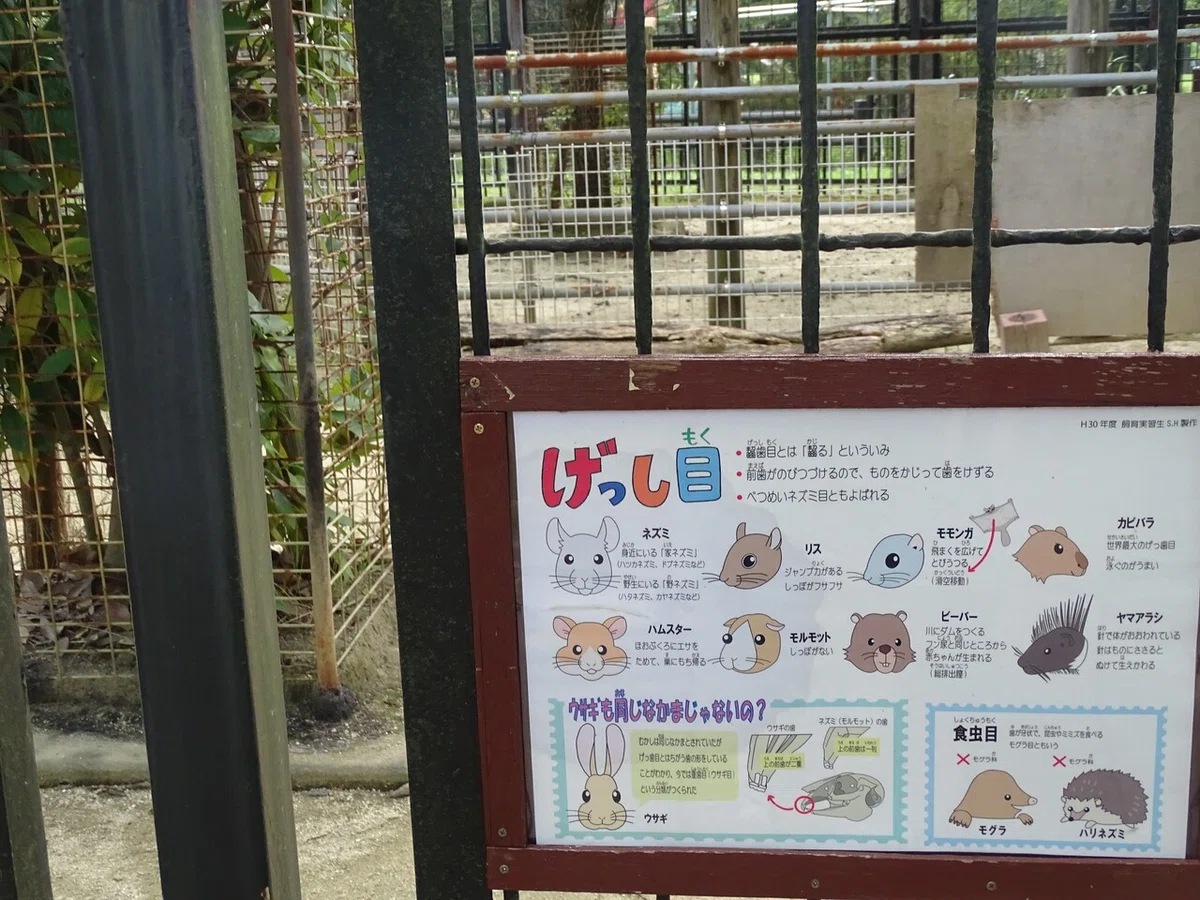 画像28