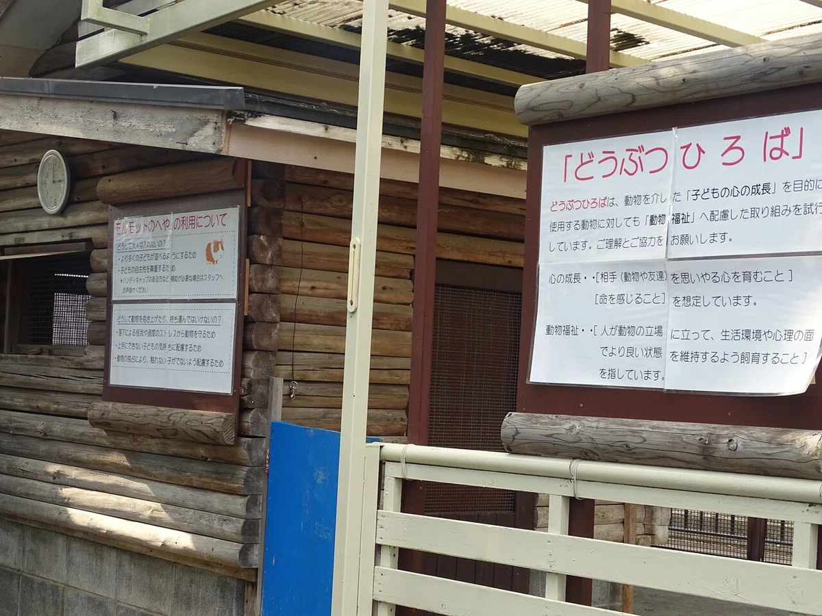画像32