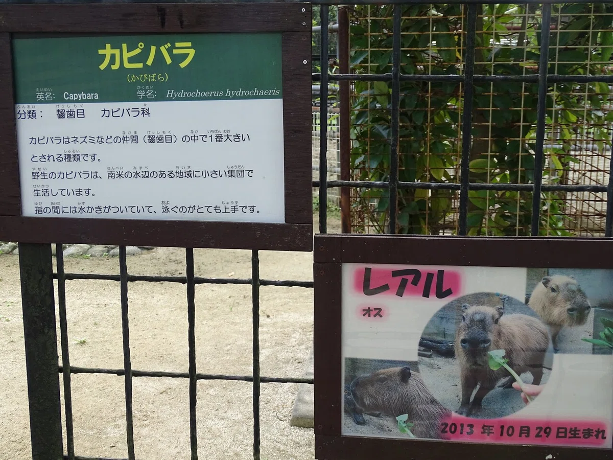 画像29