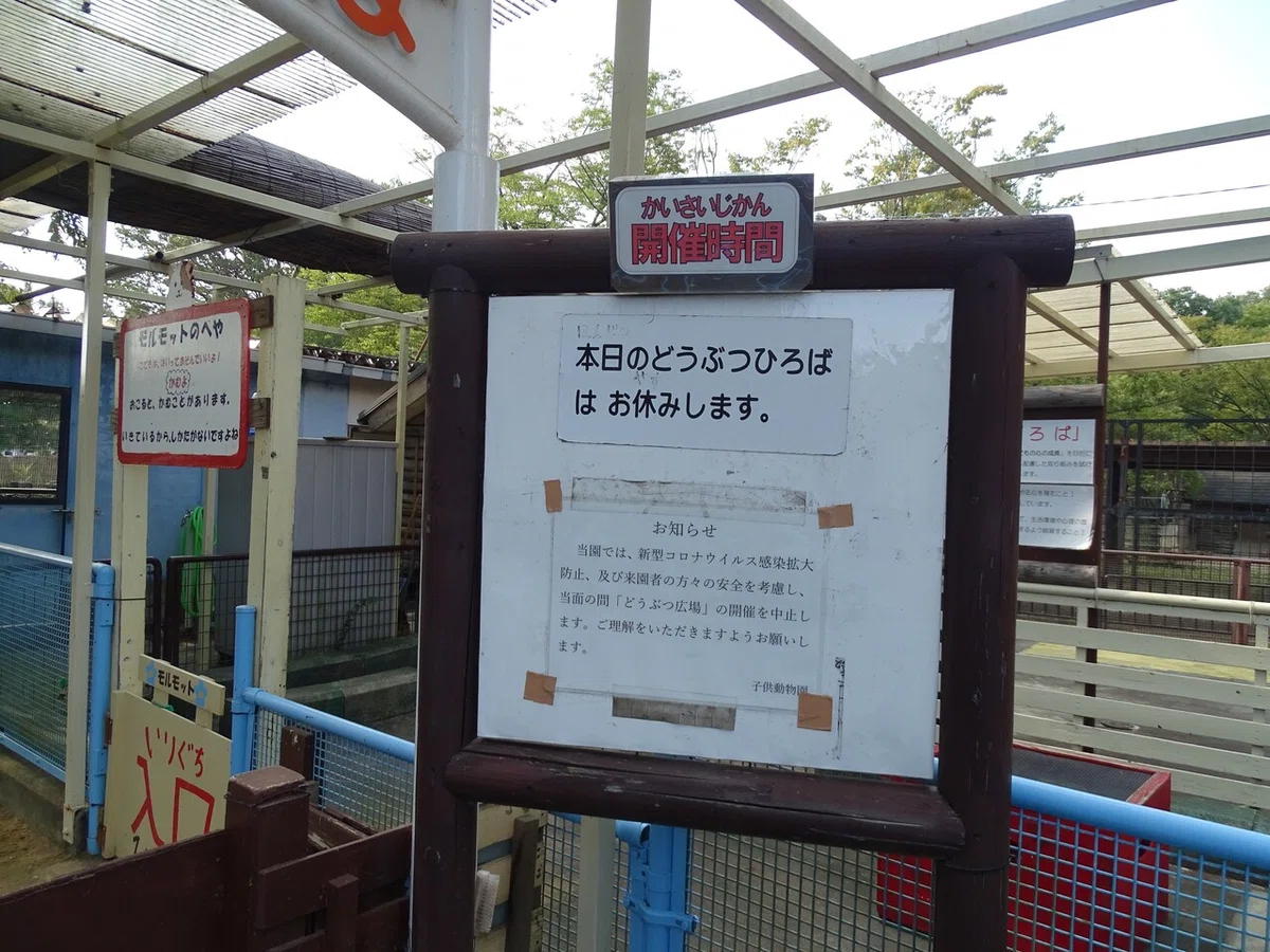 画像33