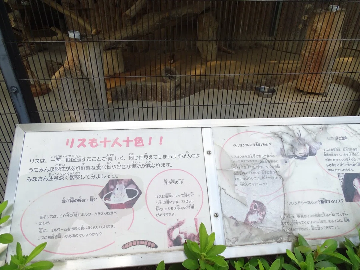 画像35
