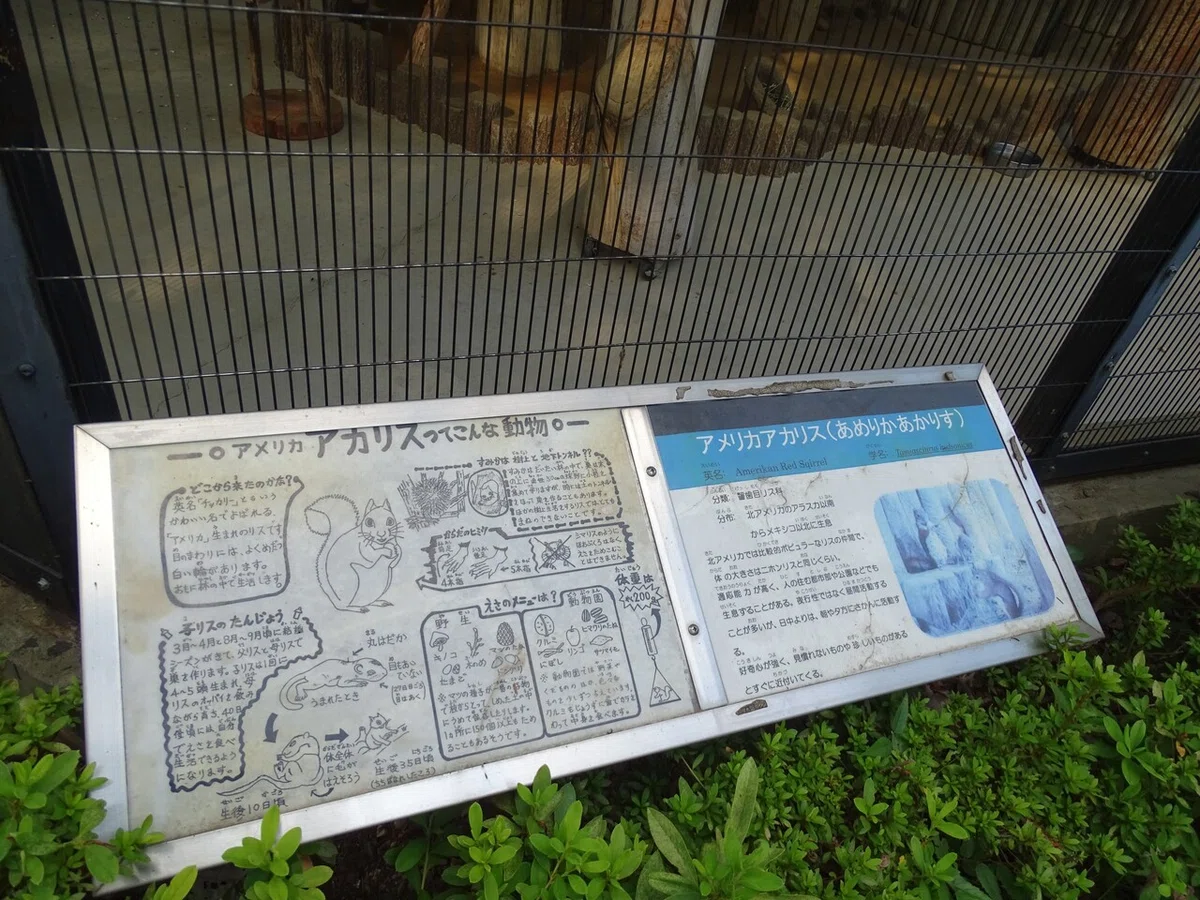 画像34
