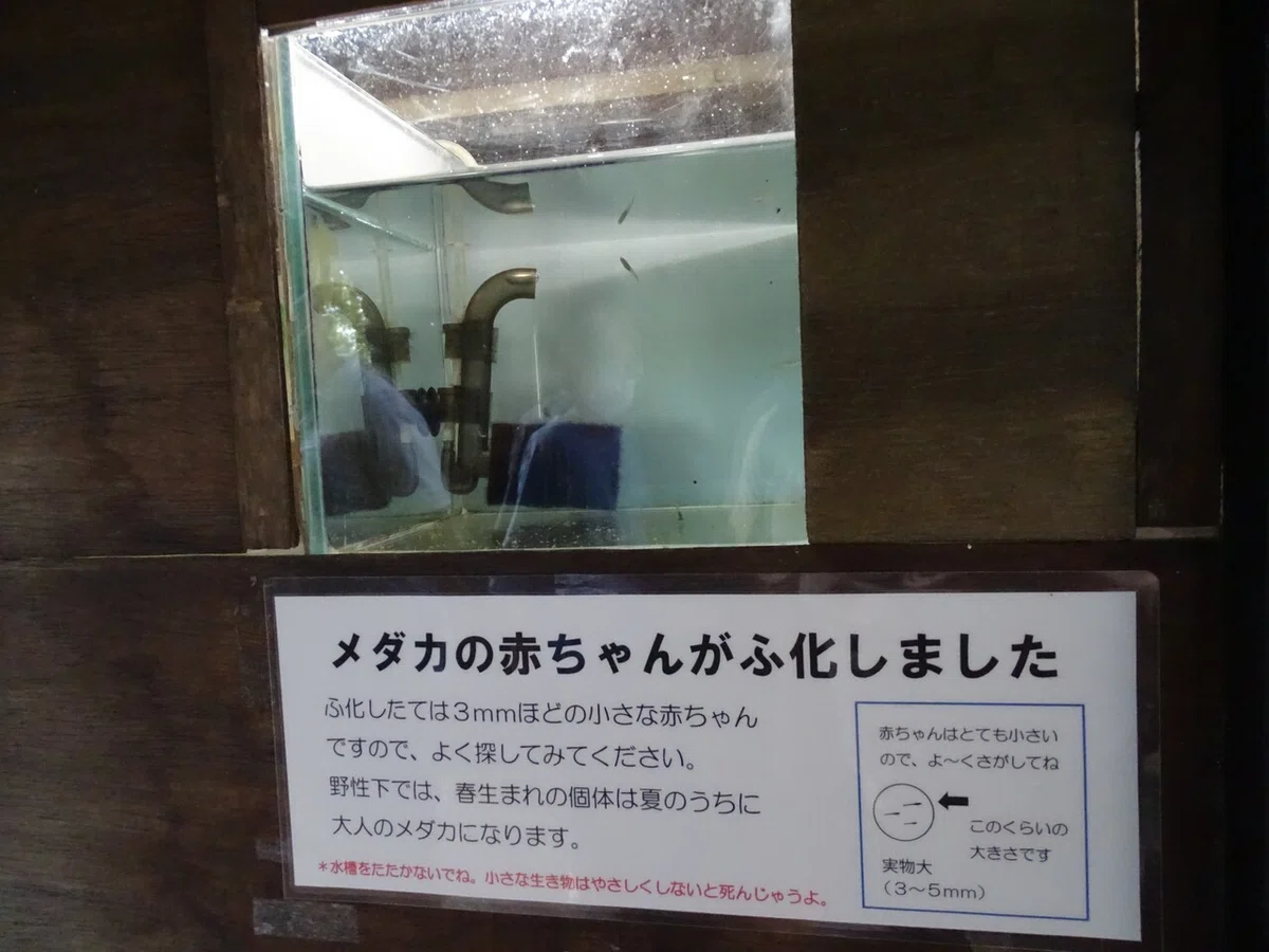 画像56