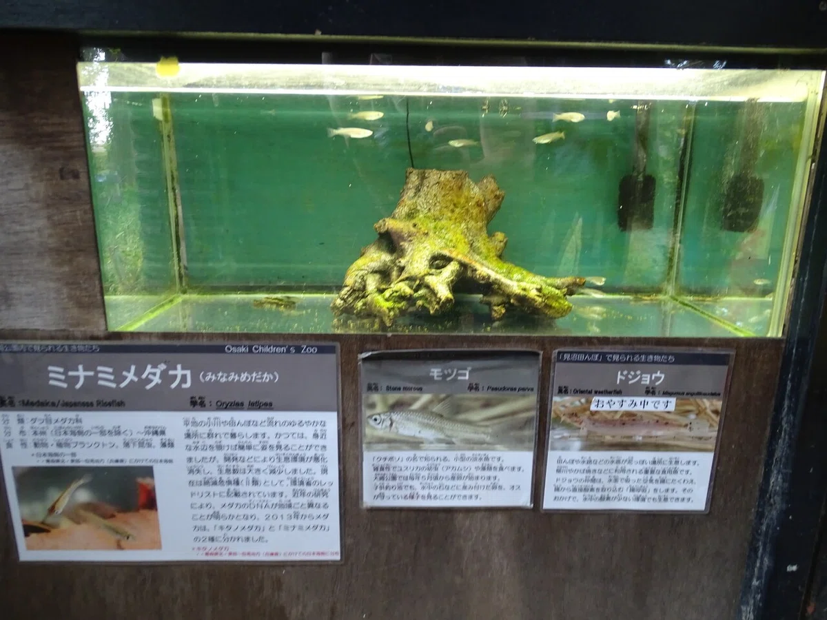 画像57