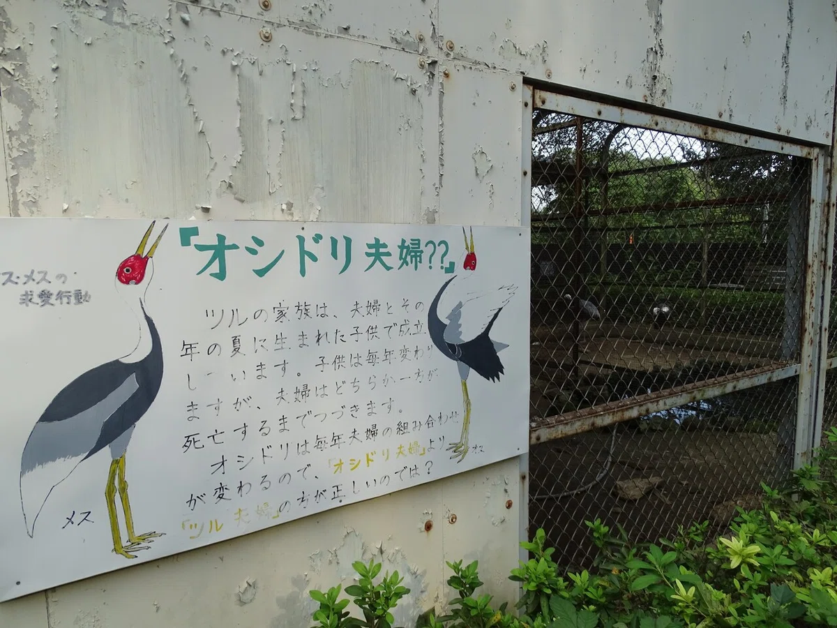 画像36