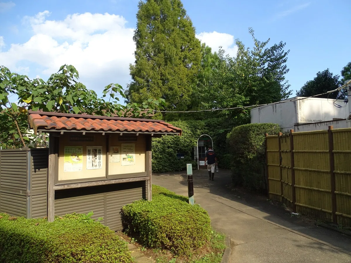 画像39