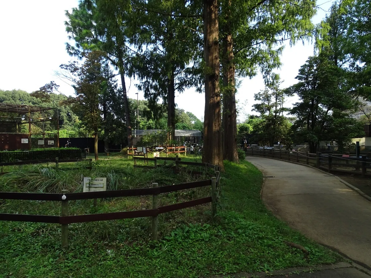 画像44