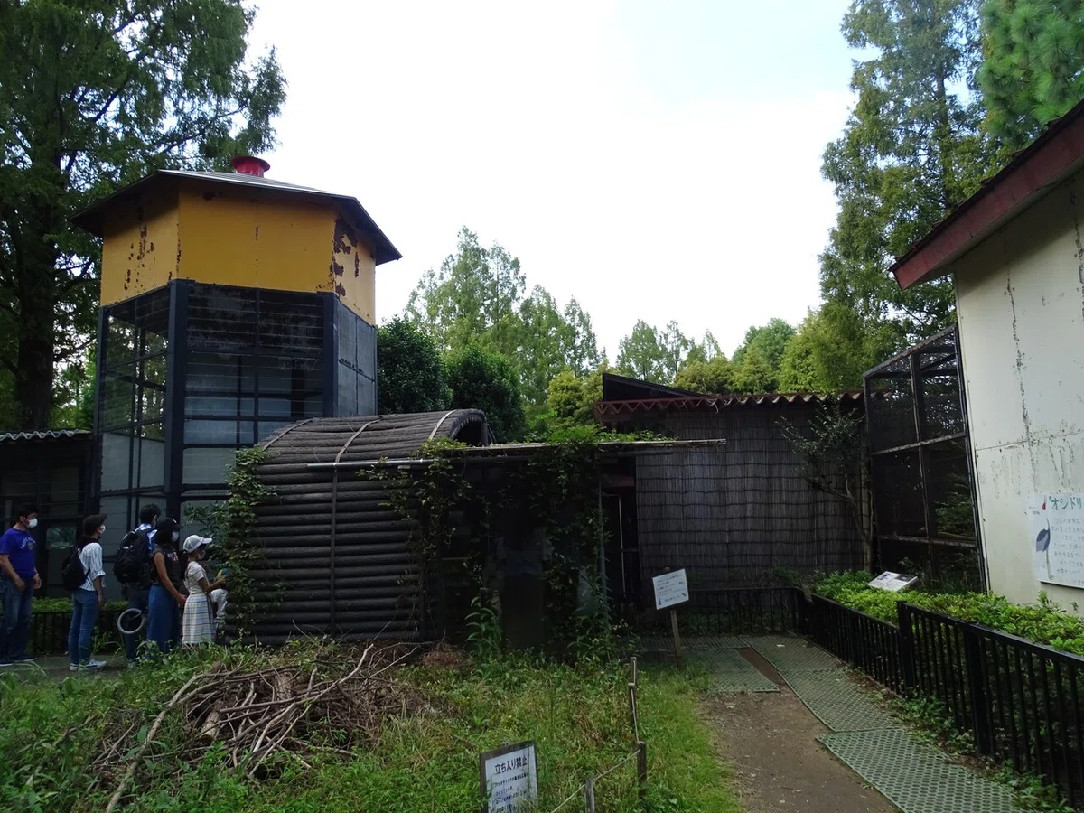 画像61