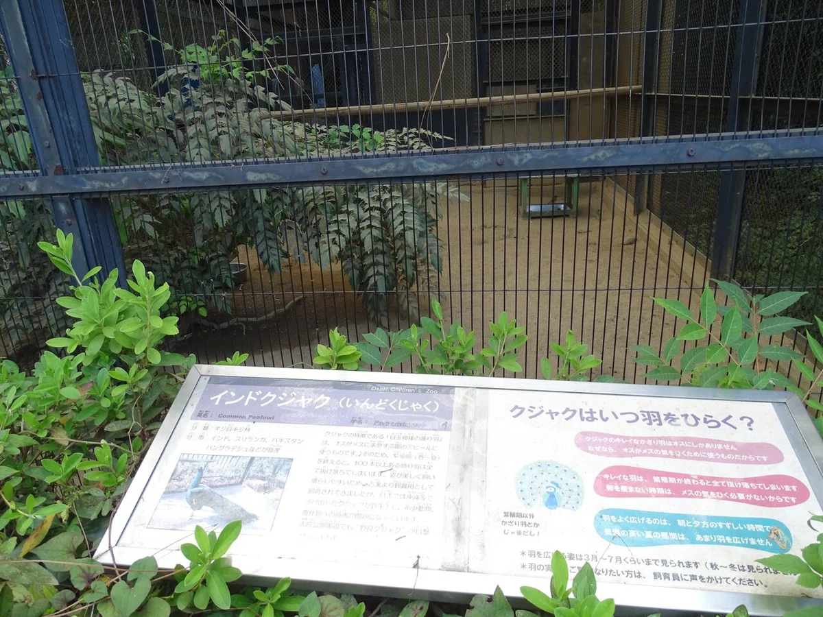 画像59