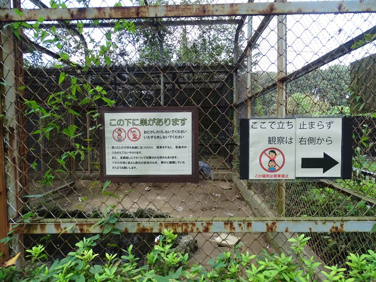 画像63