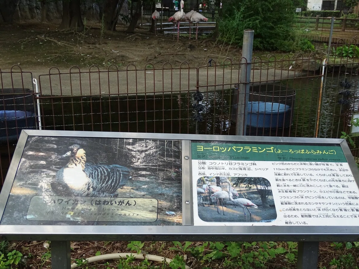 画像76