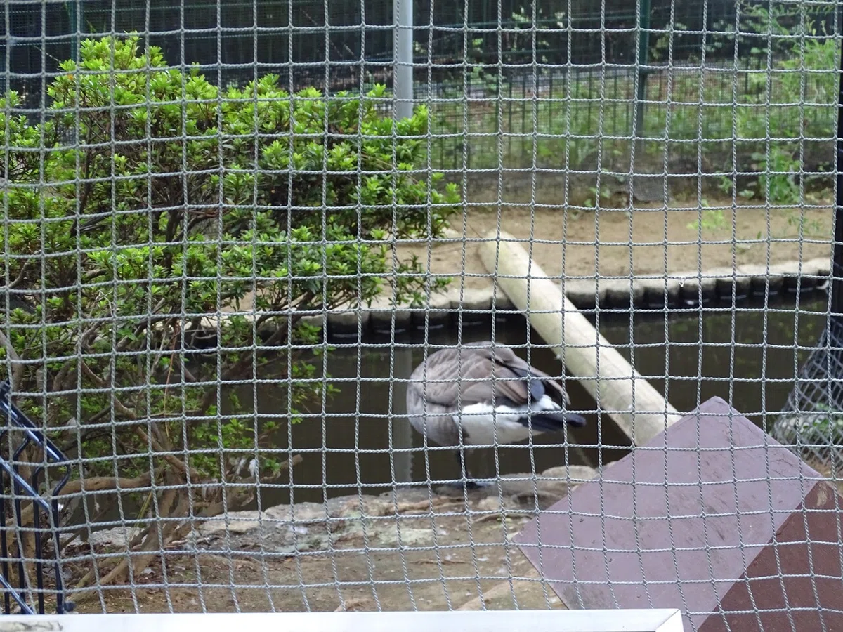 画像69