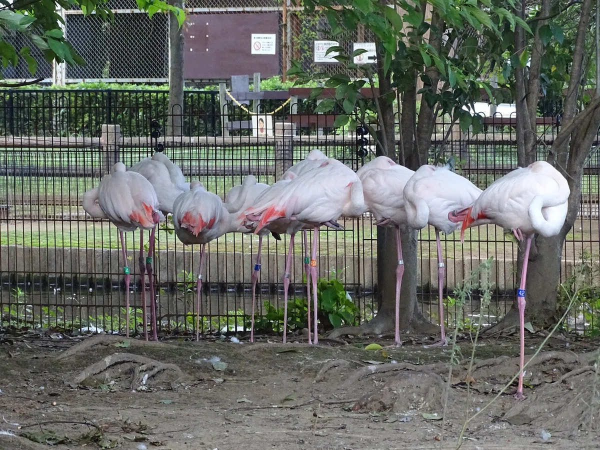画像79