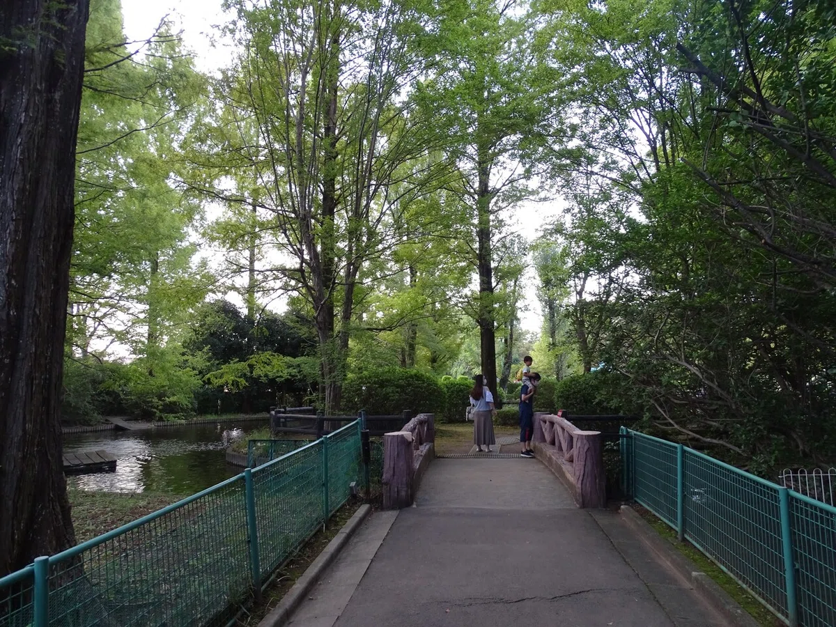 画像80