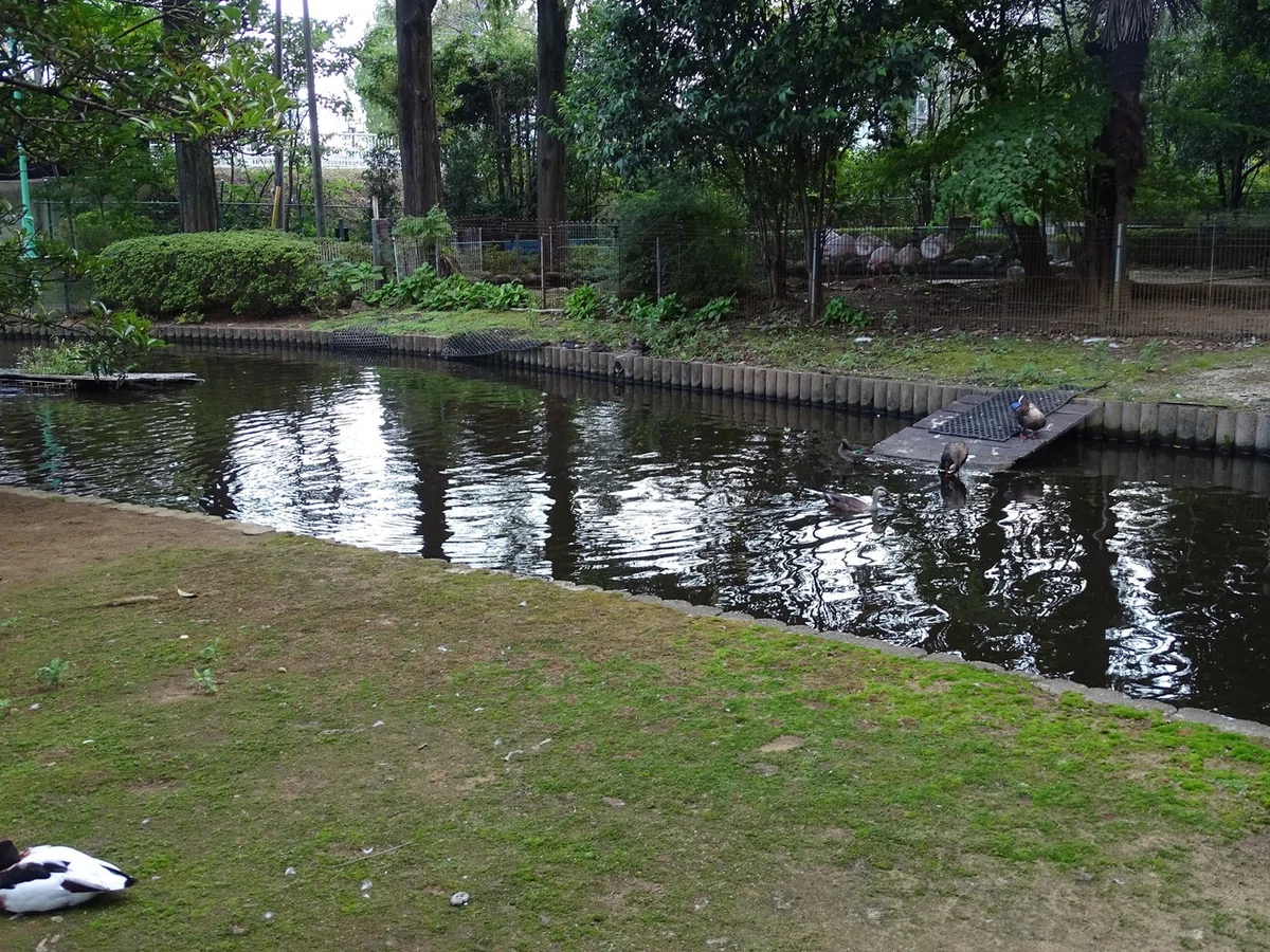 画像75