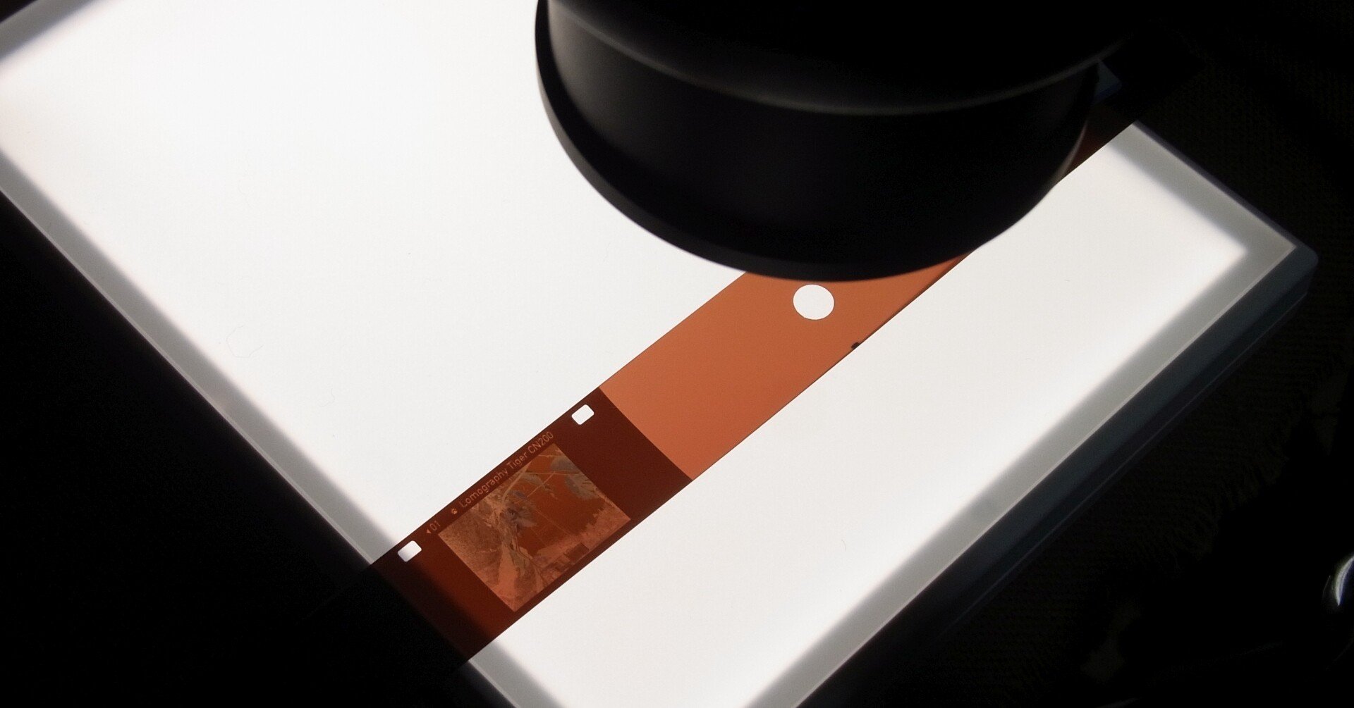 50b41f890e03f7cf6155adf6ea0927