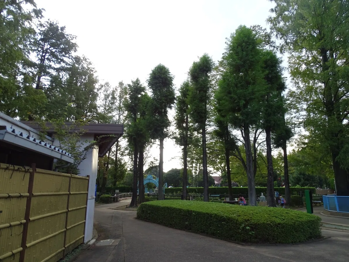 画像81