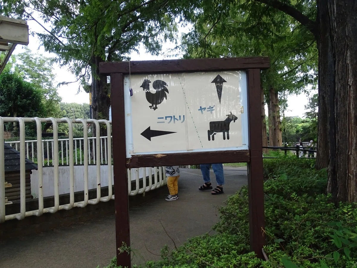 画像91