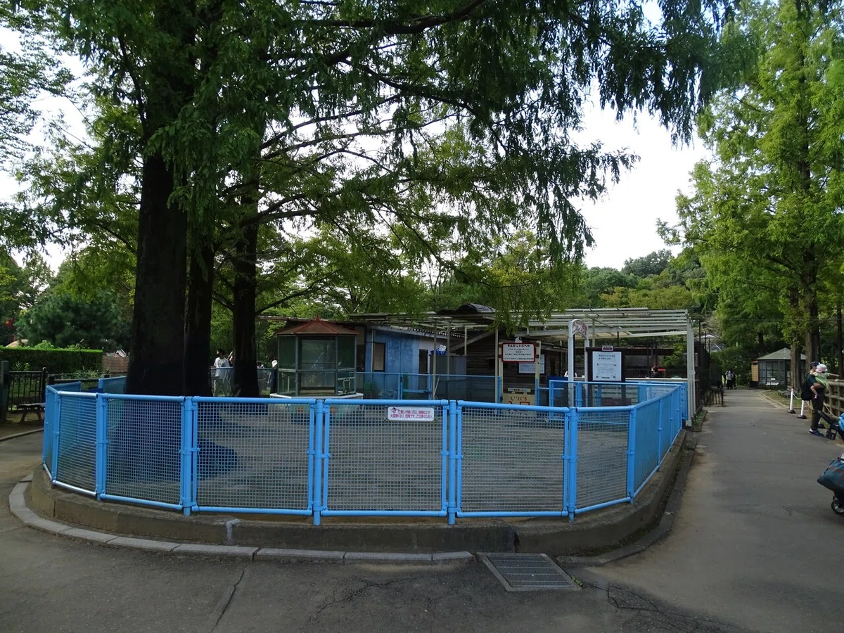 画像82