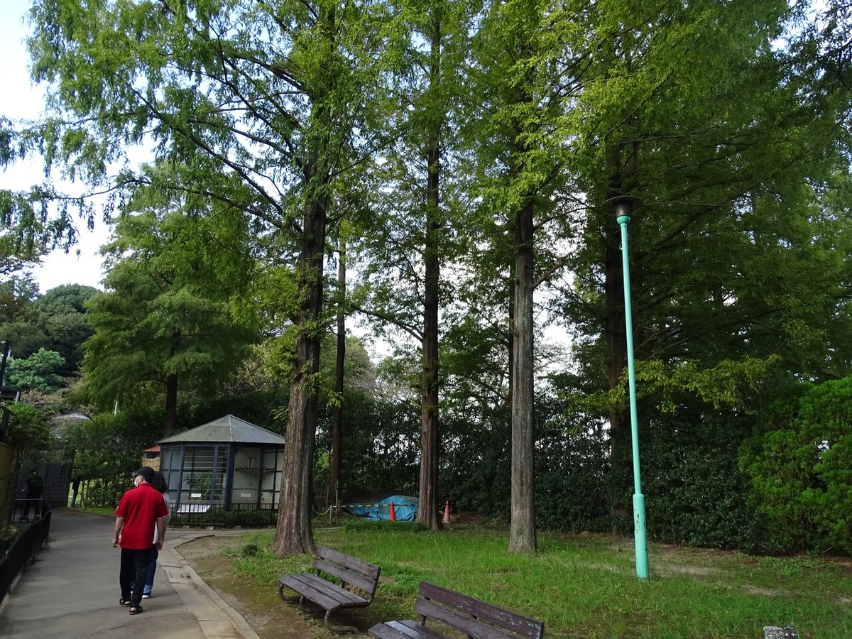 画像84
