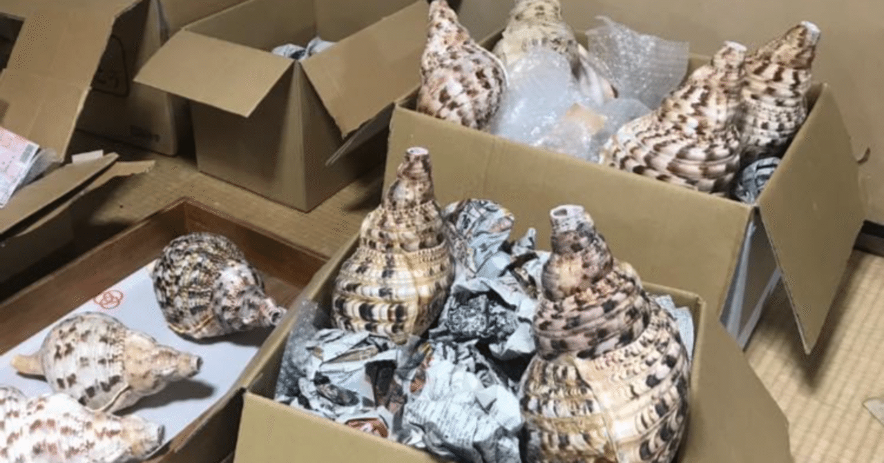 法螺貝　27cm 美品 Amazon｜伊勢 - 宮忠 – 法螺貝 ほら貝 楽器 笛 歌口付き 真言宗タイプ