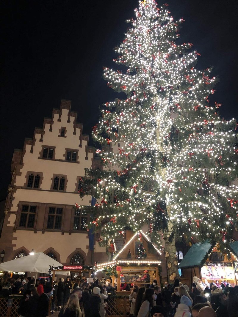 広場にあるクリスマスツリー