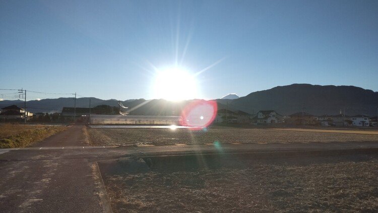 2022年、新年あけましておめでとうございます。🎍　今年もよろしくおねがいします。新年最初の散歩は快晴の中をスタートしました。