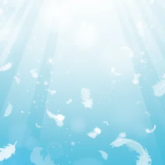 とみたゆう子｜パパごん