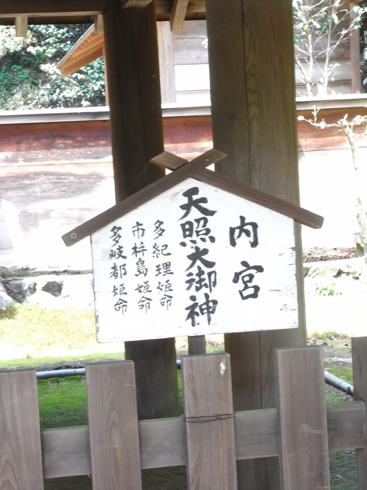 画像8