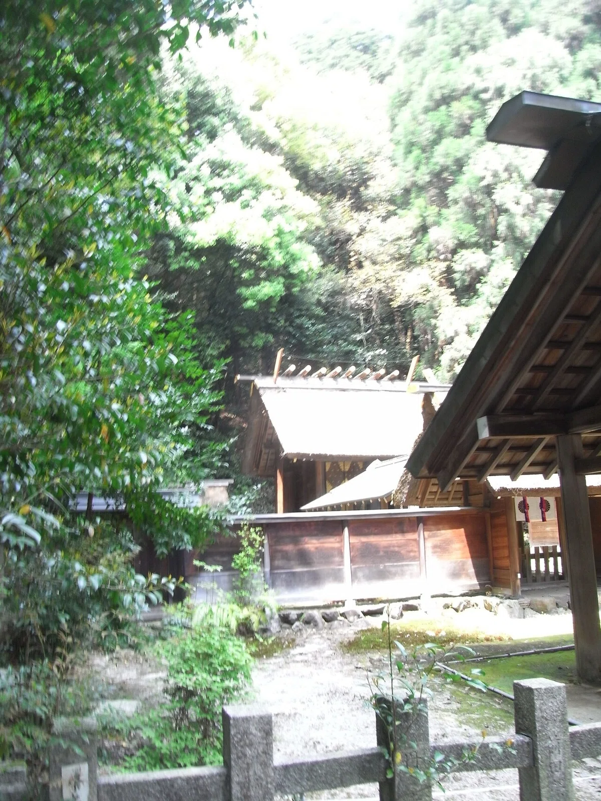 画像10