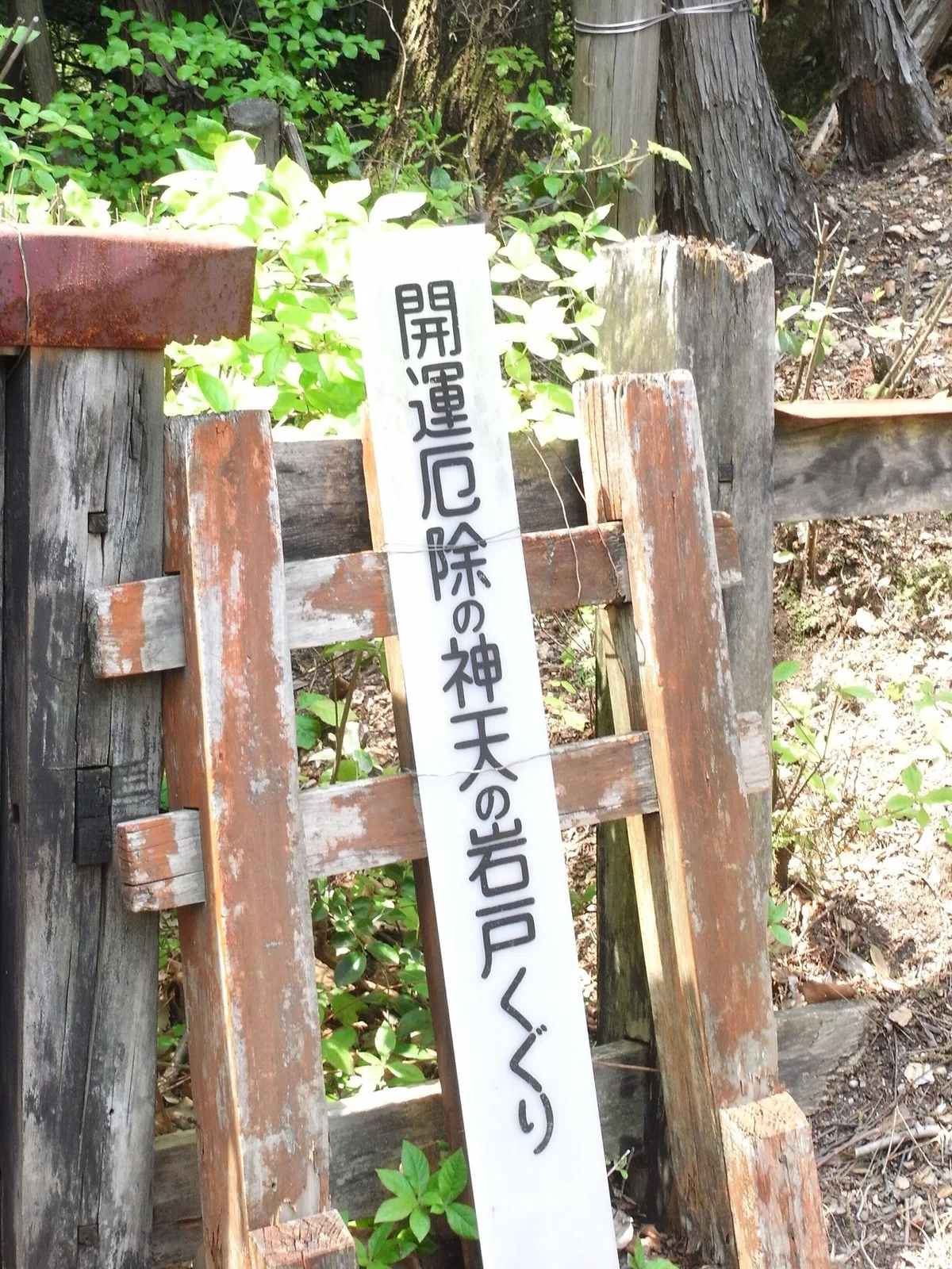画像12