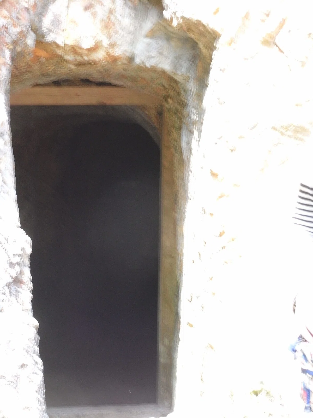 画像13