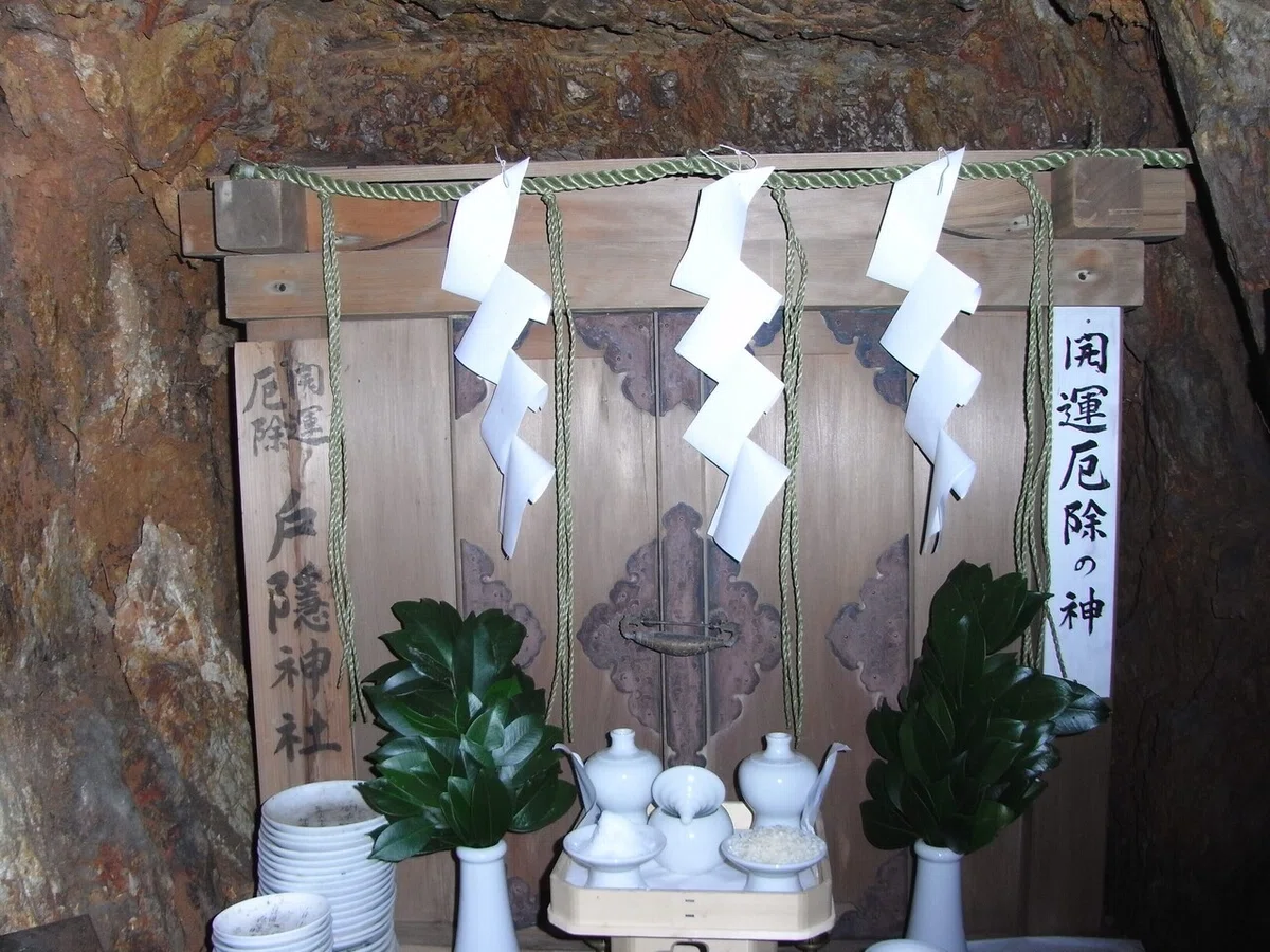 画像14