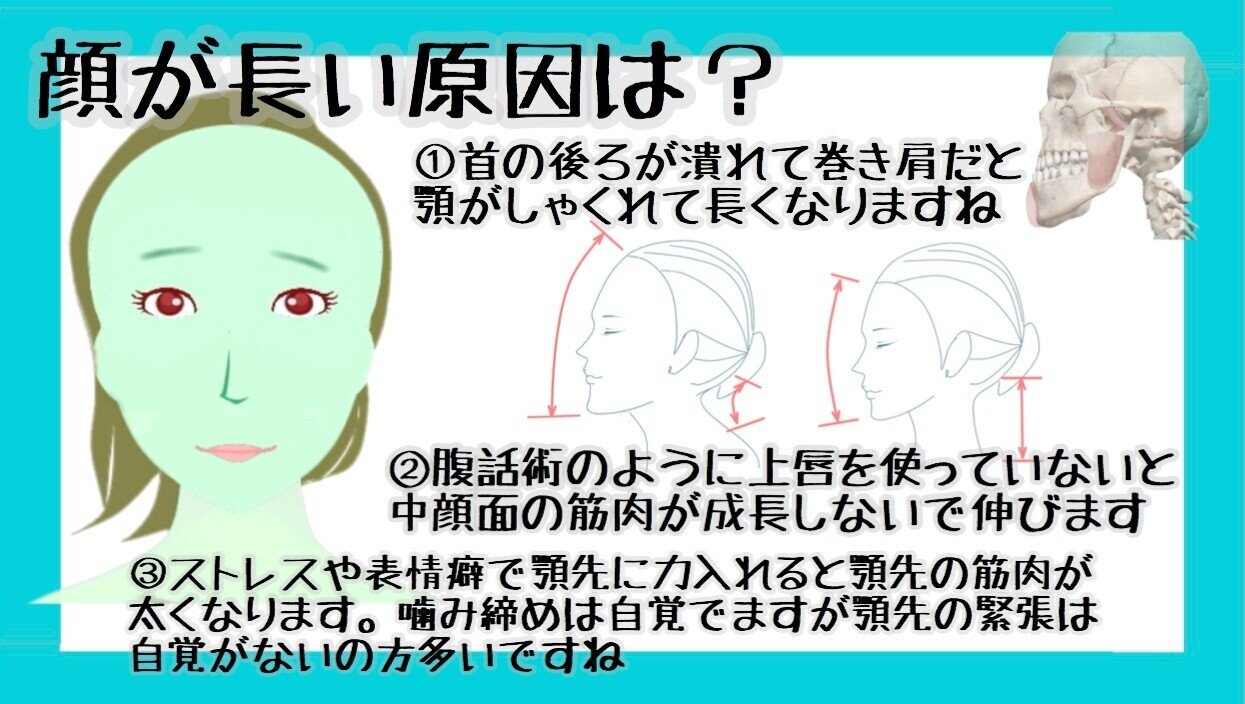 顔が長い短くなおす方法 面長矯正の表情筋トレーニング お顔の整体師 戸塚哲春 Note 顔が長い短くなおす方法 面長矯正の表情筋トレーニング お顔の整体師 戸塚哲春 Note