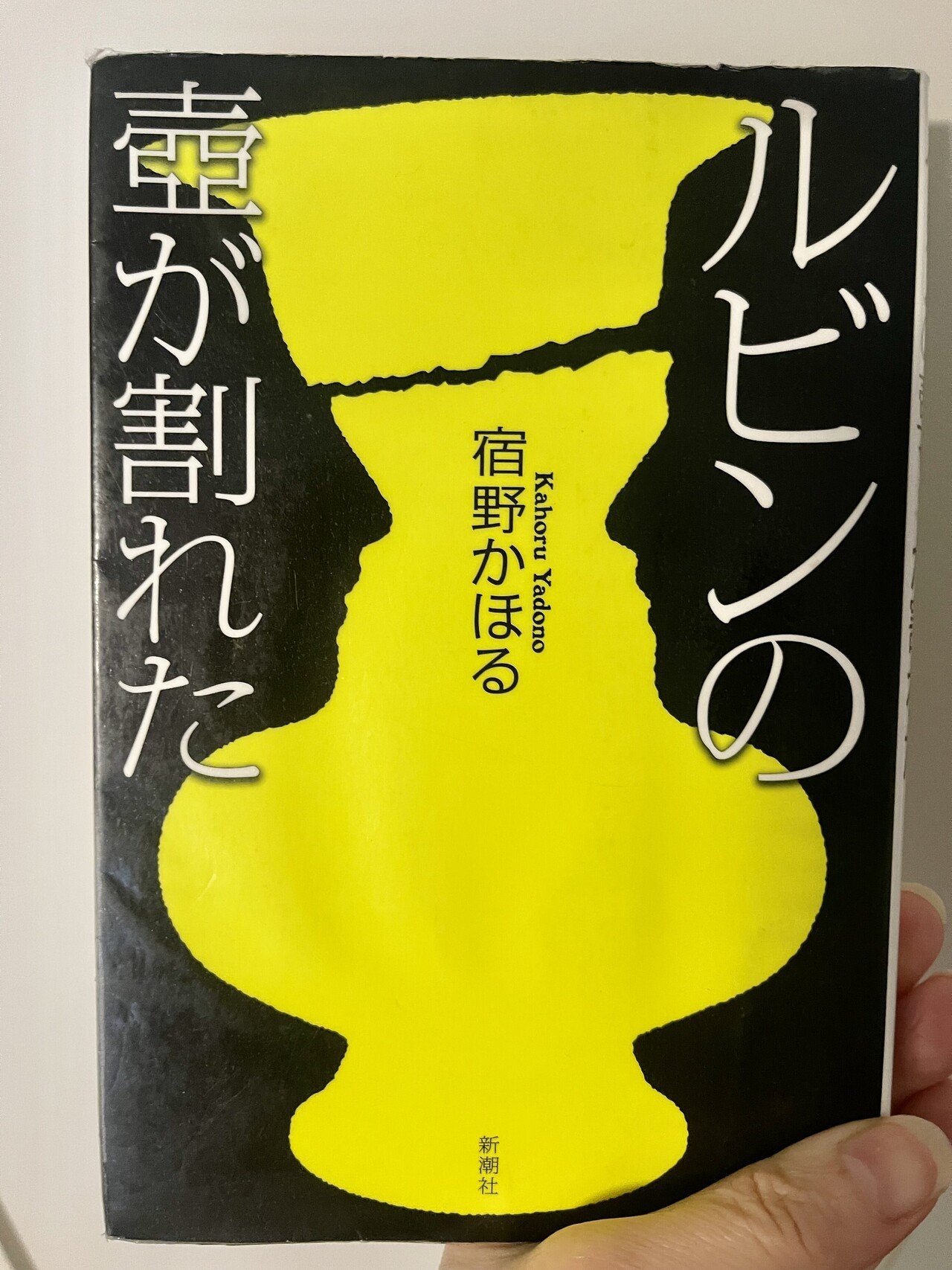 22年初の読了 ルビンの壺が割れた ちびこ Note 22年初の読了 ルビンの壺が割れた ちびこ Note