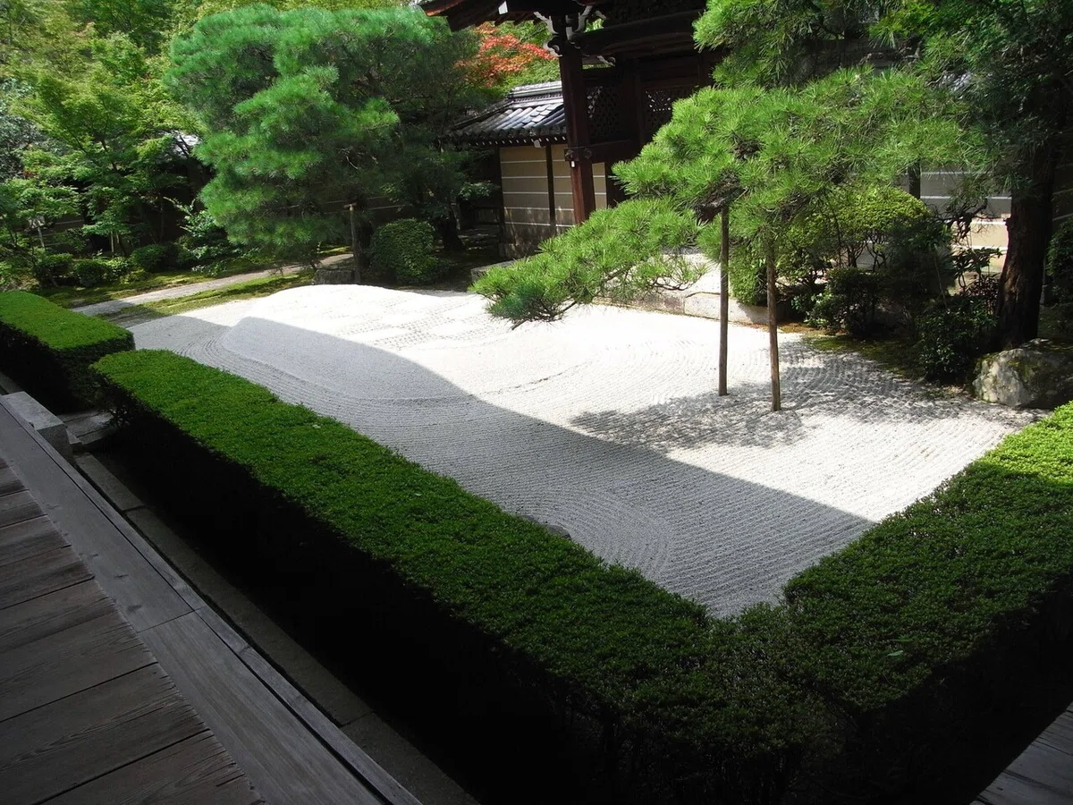 画像7