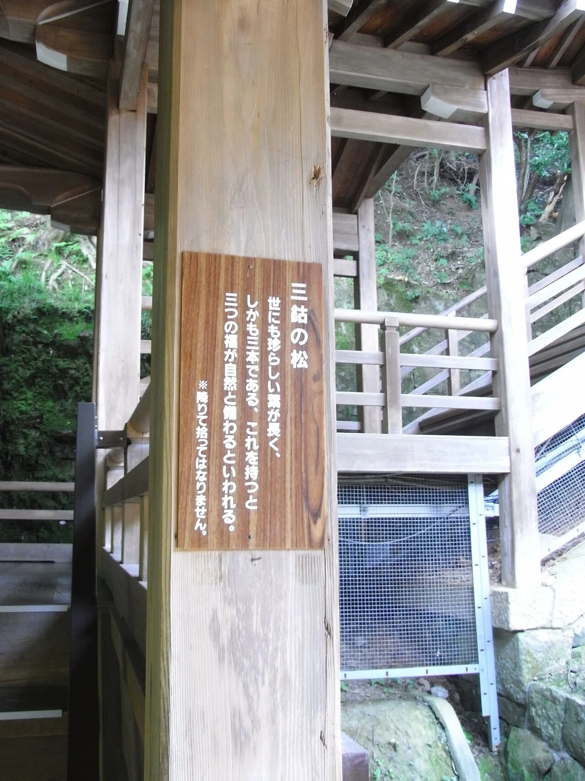 画像15