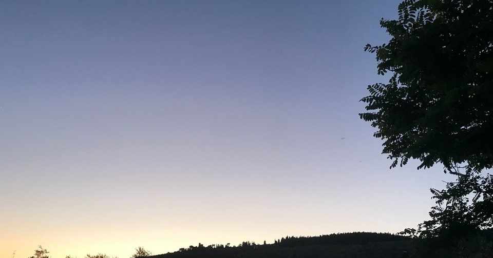 夏至の旅立ち ピロココのタデクウムシinイタリア Note