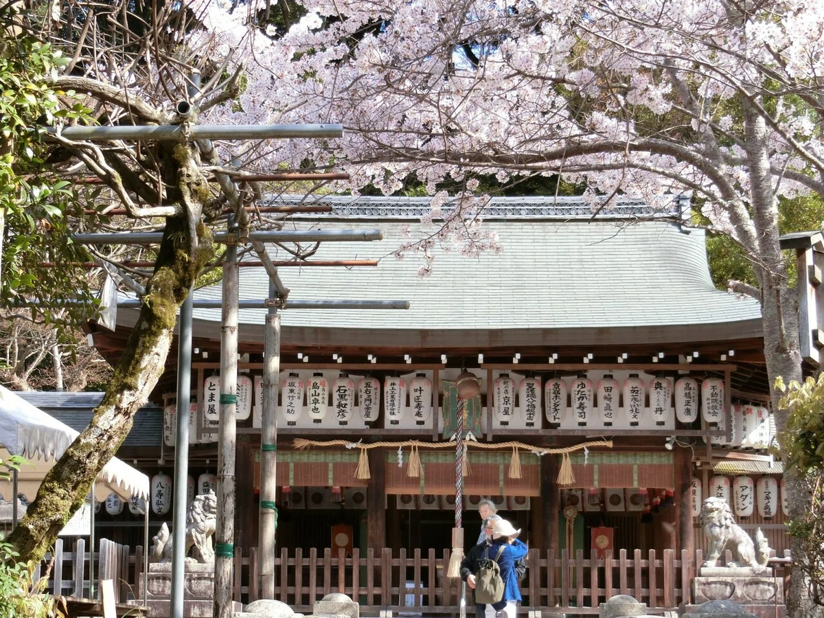 画像7