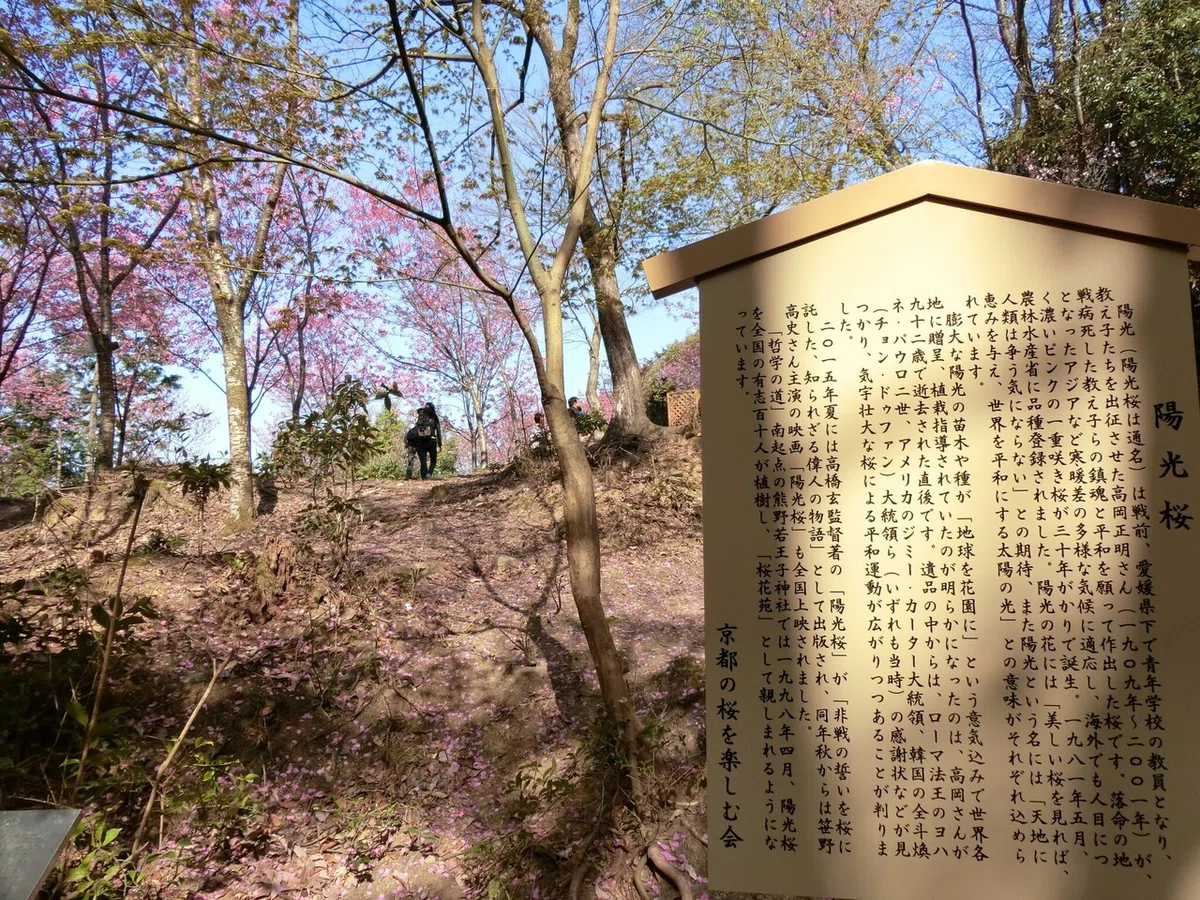 画像8