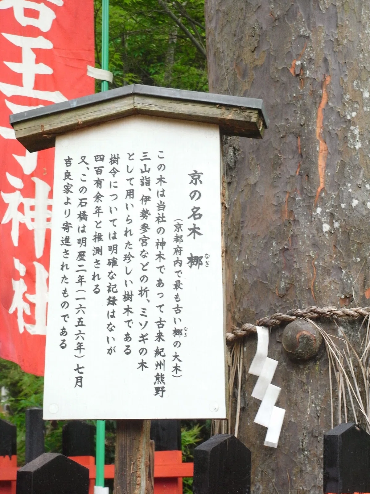画像9