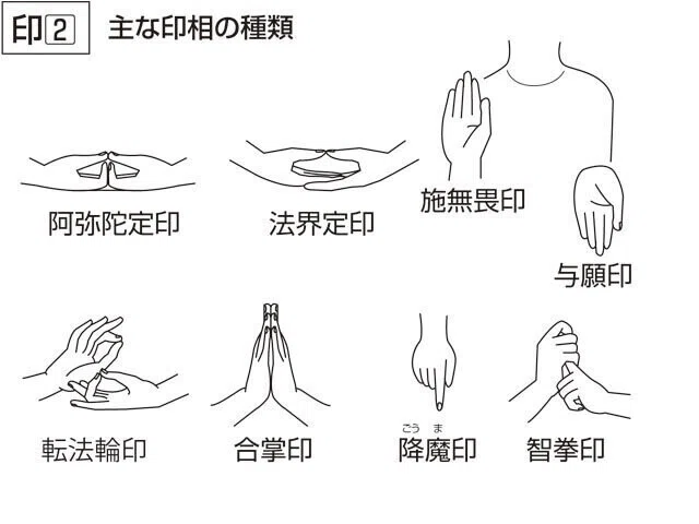 画像7