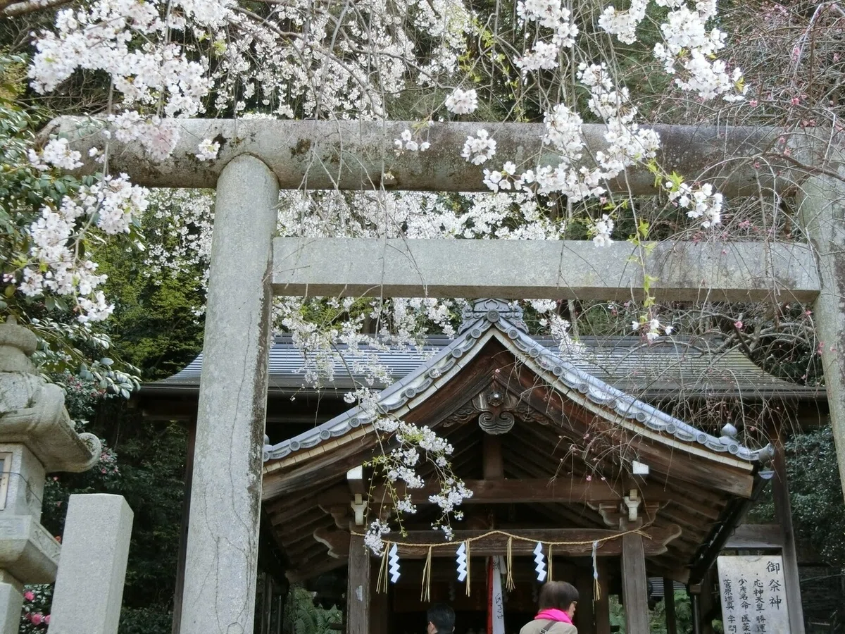 画像1