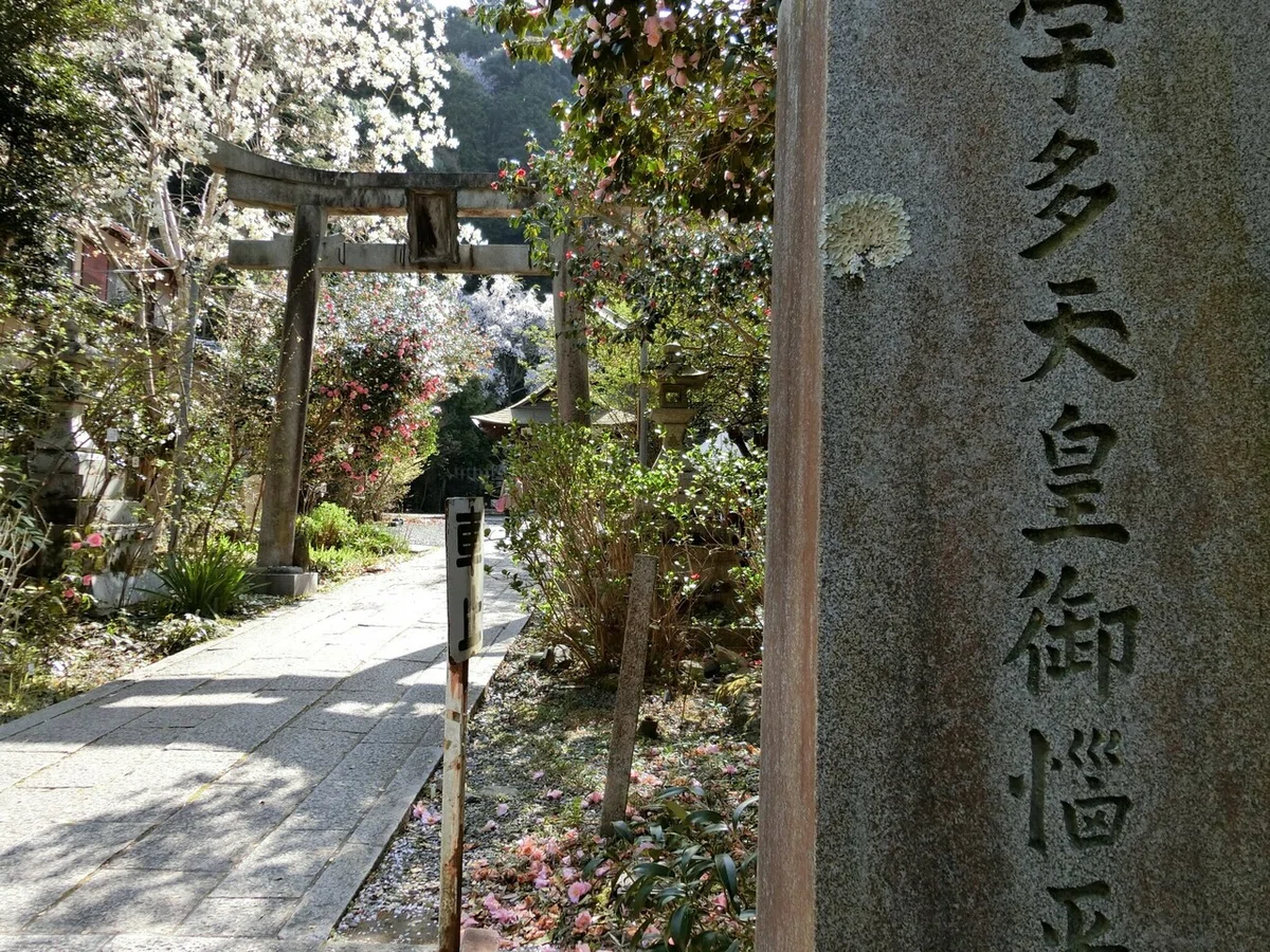画像4