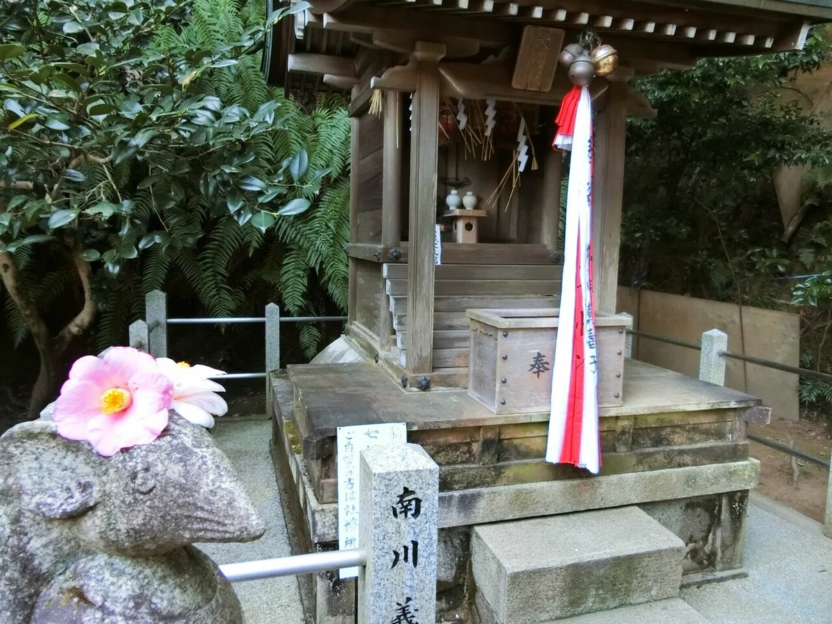 画像6