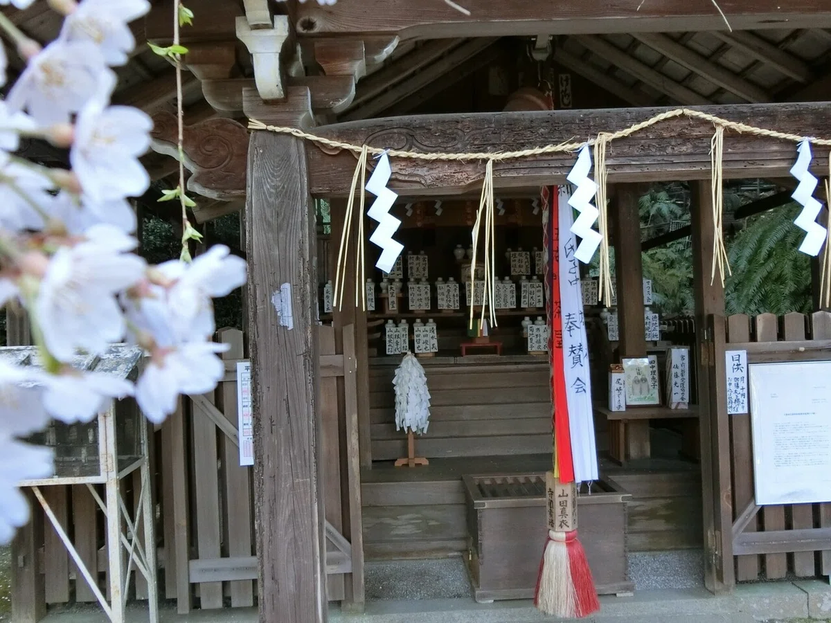 画像7