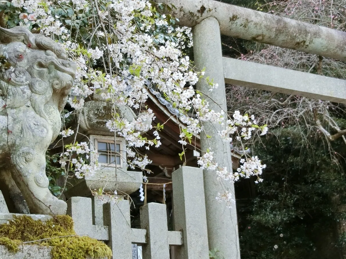 画像8