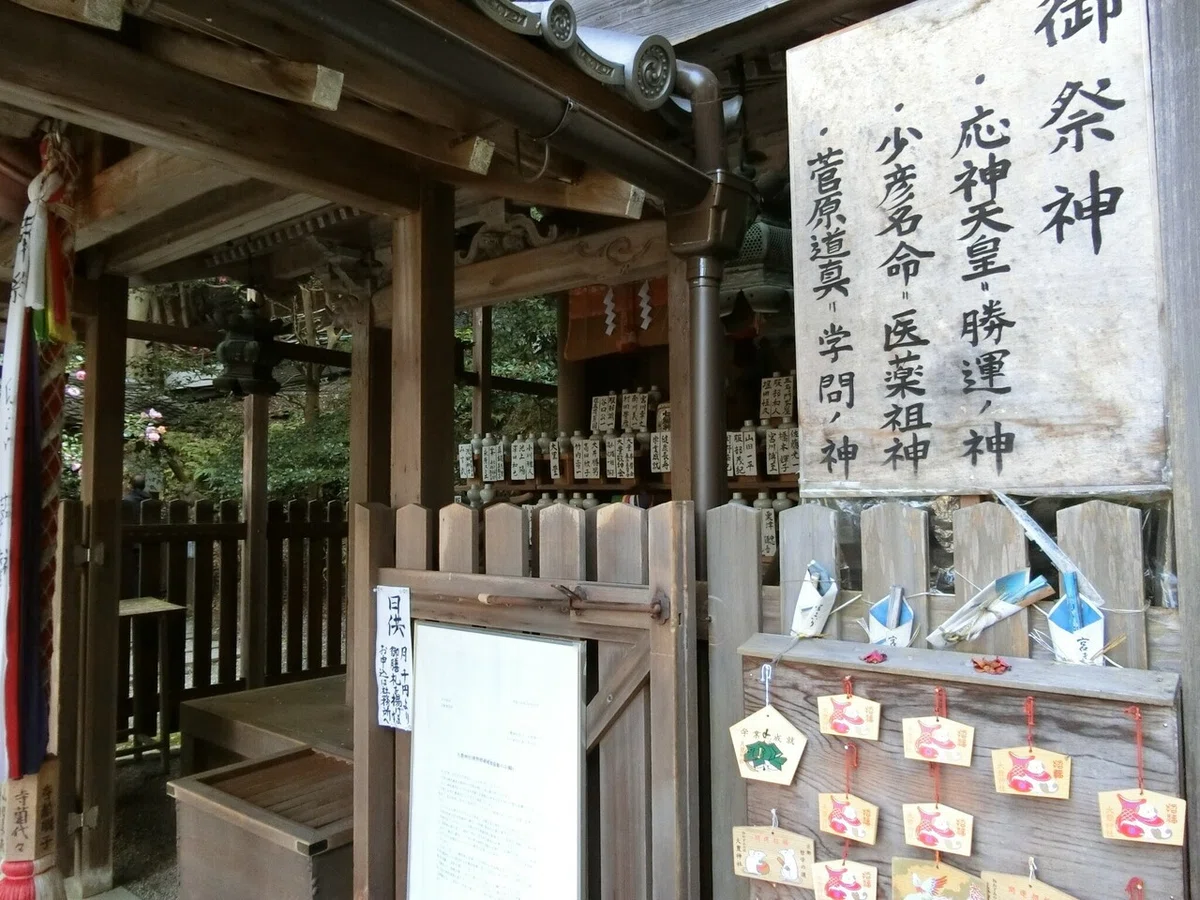 画像9